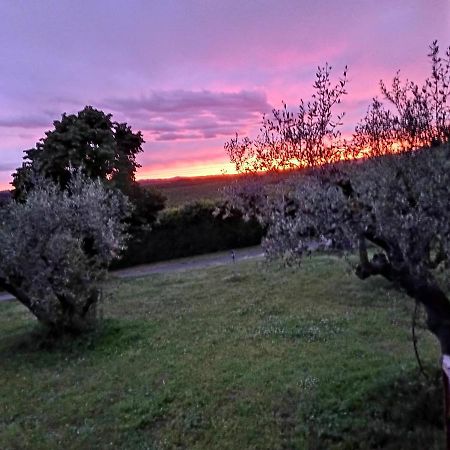 L'Orto Sul Poggio Bed & Breakfast Sutri Dış mekan fotoğraf