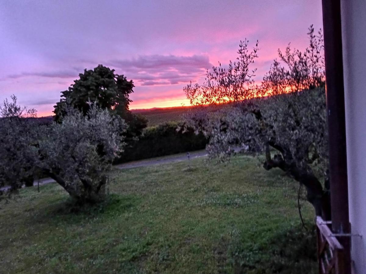 L'Orto Sul Poggio Bed & Breakfast Sutri Dış mekan fotoğraf