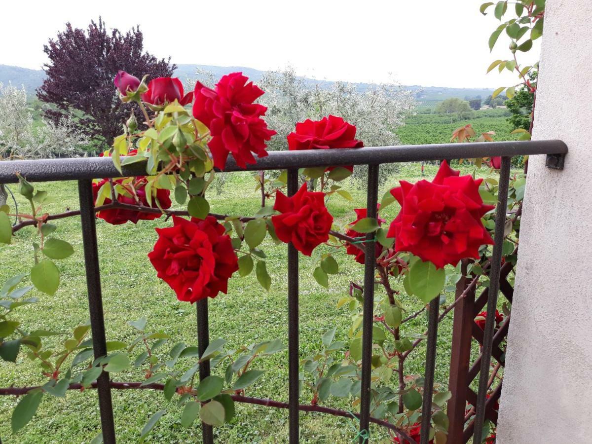 L'Orto Sul Poggio Bed & Breakfast Sutri Dış mekan fotoğraf