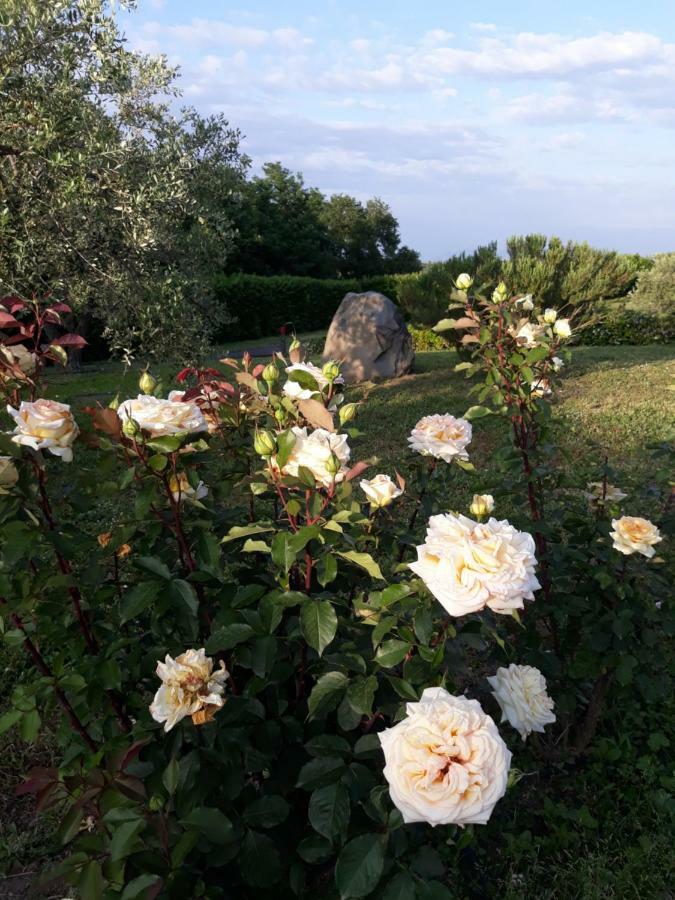 L'Orto Sul Poggio Bed & Breakfast Sutri Dış mekan fotoğraf