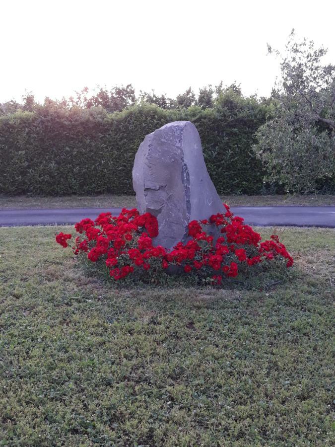 L'Orto Sul Poggio Bed & Breakfast Sutri Dış mekan fotoğraf