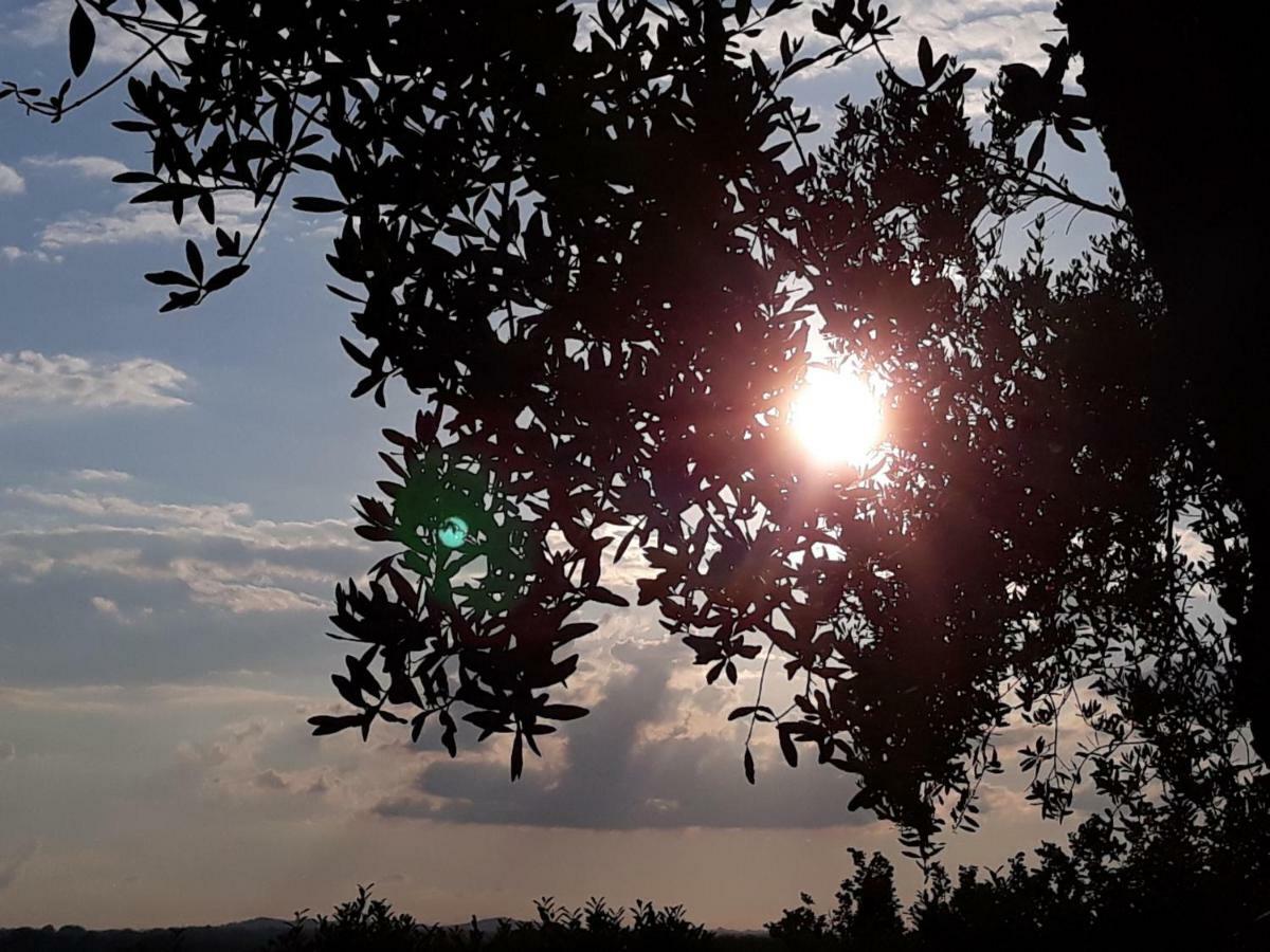 L'Orto Sul Poggio Bed & Breakfast Sutri Dış mekan fotoğraf